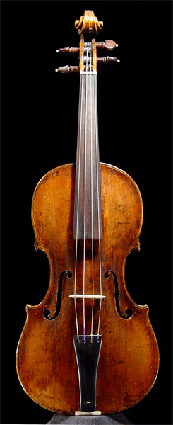 violin_pollusca-fr2