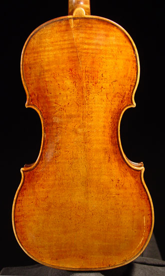 violin_albanus-bk