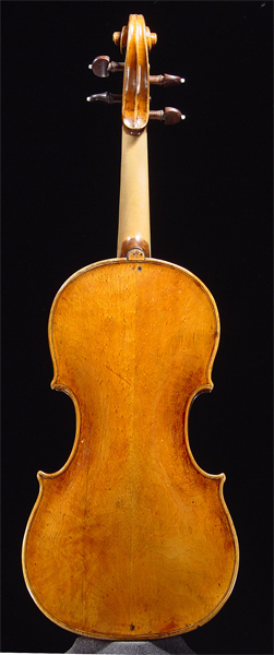 violin_pollusca-bk