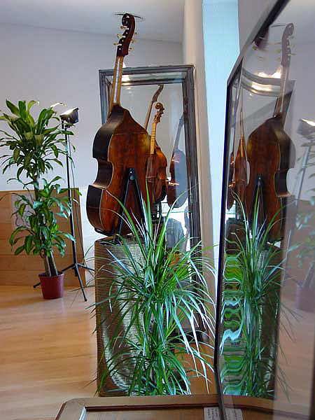 viola da gamba German