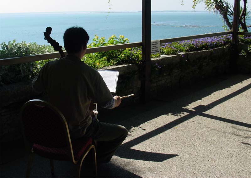 Viola da gamba by William Turner: Orpheon Foundation in Castello di Duino