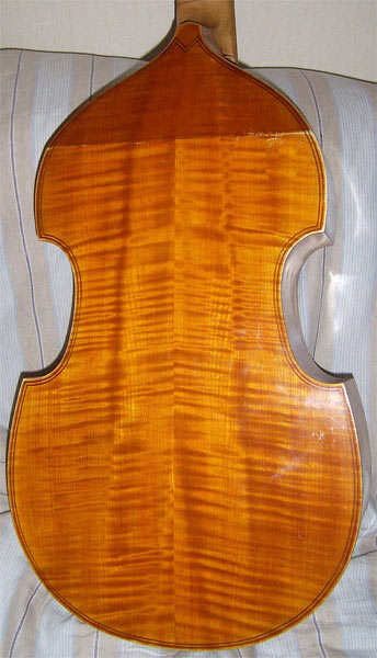 viola da gamba