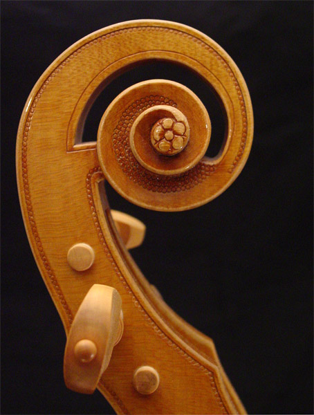 viola da gamba after Salomon