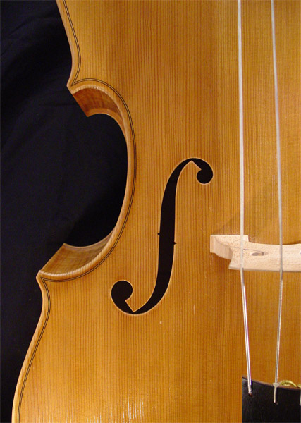 viola da gamba after Salomon